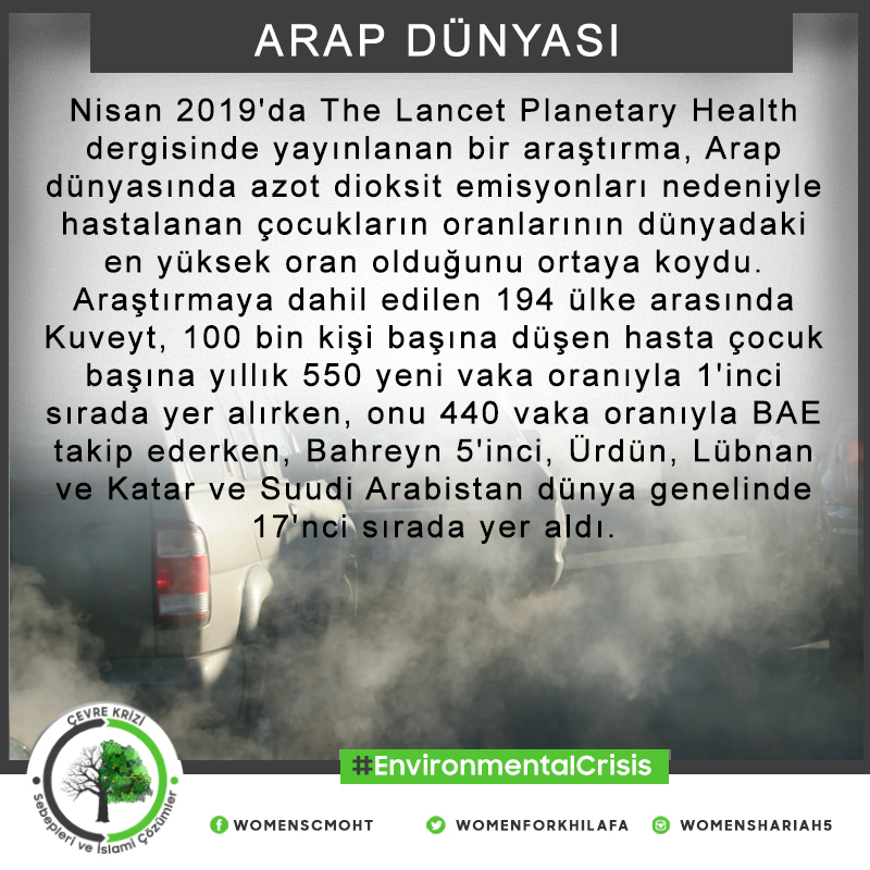 Click to enlarge image causes_arabworld_1_turk.jpg