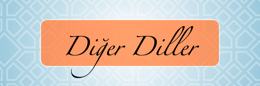 diger diller